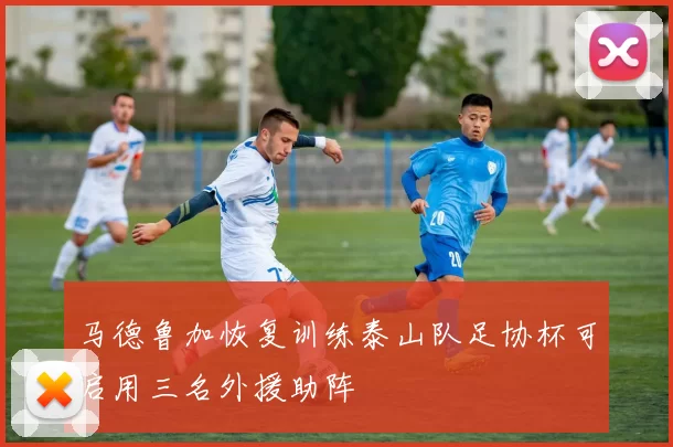 马德鲁加恢复训练泰山队足协杯可启用三名外援助阵